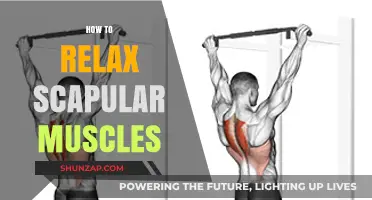 Effective Techniques to Release and Relax Tight Scapular Muscles