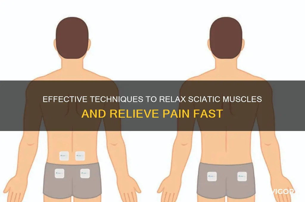 how to relax sciatic muscles
