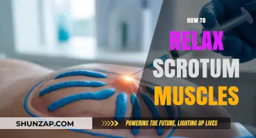 Effective Techniques to Relax Scrotum Muscles for Comfort and Relief