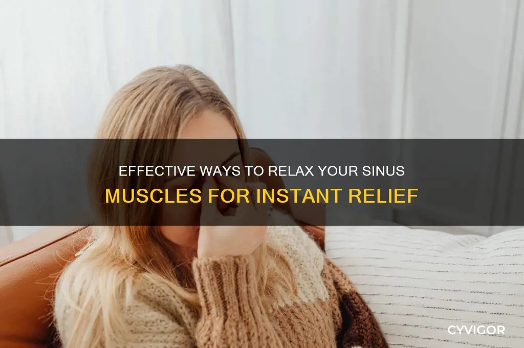 how to relax sinus muscle