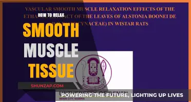 Effective Techniques to Relax Smooth Muscle Tissue for Optimal Health