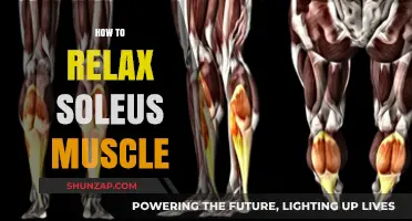 Effective Techniques to Relax Your Soleus Muscle for Instant Relief