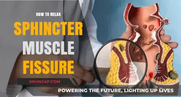 Effective Ways to Relax Sphincter Muscles and Heal Anal Fissures