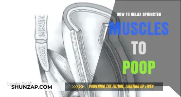Relax Your Sphincter Muscles: Effective Tips for Easier Bowel Movements