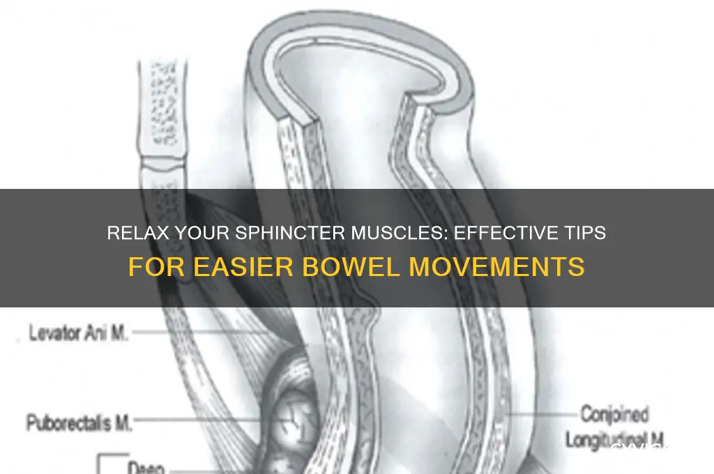 how to relax sphincter muscles to poop
