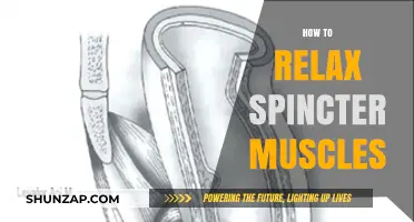 Effective Techniques to Relax Your Sphincter Muscles for Comfort and Relief