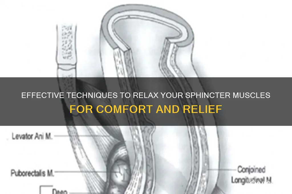how to relax spincter muscles