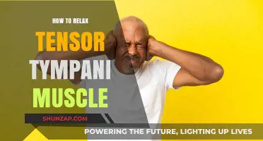 Effective Techniques to Relax Your Tensor Tympani Muscle Easily