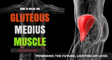 Effective Techniques to Release and Relax Your Gluteus Medius Muscle
