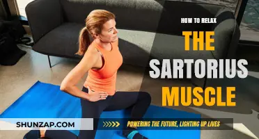 Effective Techniques to Relax Your Sartorius Muscle for Better Flexibility