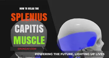 Effective Techniques to Relax Your Splenius Capitis Muscle Easily