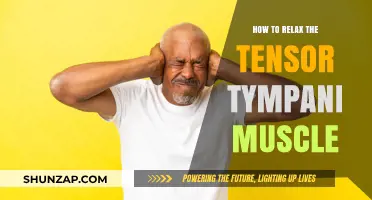 Effective Techniques to Relax Your Tensor Tympani Muscle Easily