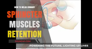 Effective Techniques to Relax Urinary Sphincter Muscles and Ease Retention