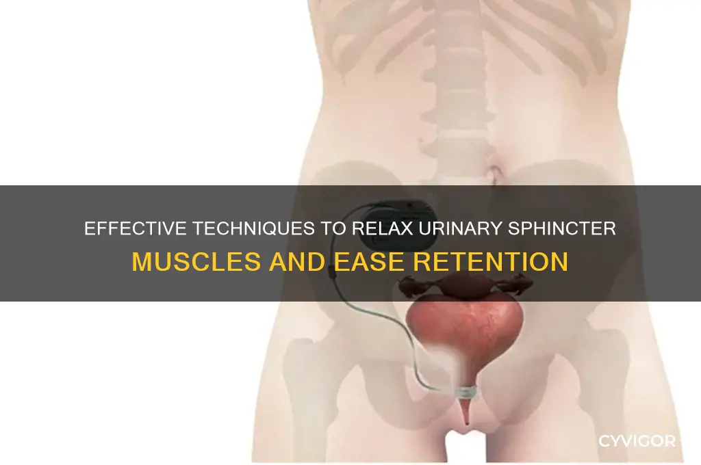 how to relax urinary sphincter muscles retention