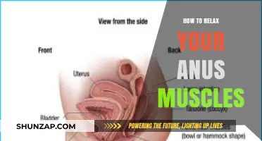 Effective Techniques to Relax Your Anus Muscles for Comfort and Relief