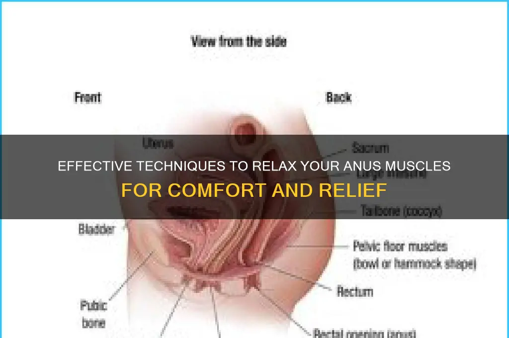 Try To Relax Your Anus Meaning