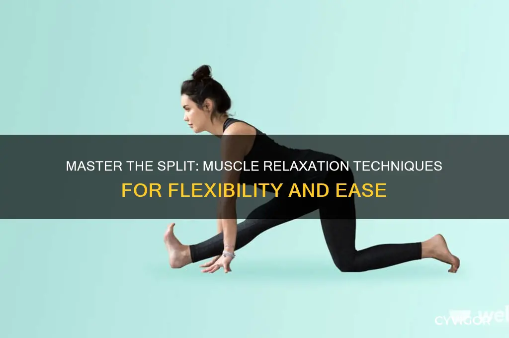 how to relax your muscles to do a split