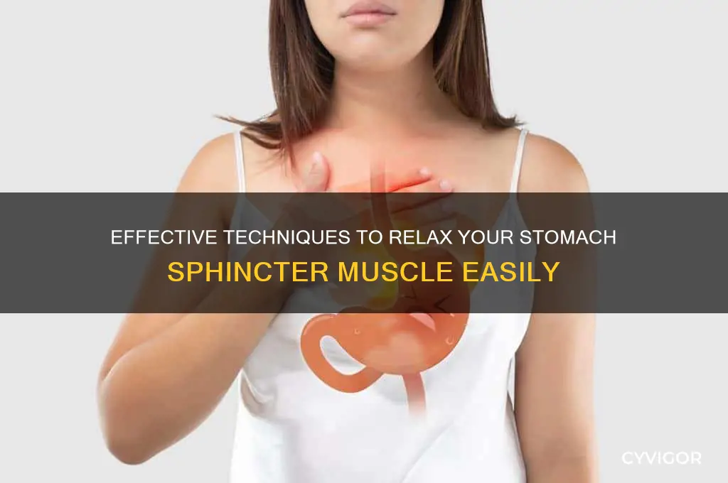 how to relax your stomach sphincter muscle