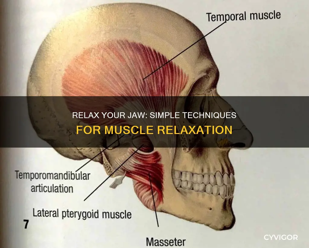how to relaxjaw muscle