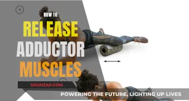 Unlocking Tight Adductors: Simple Techniques for Muscle Release