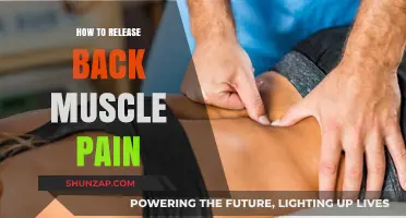 Effective Ways to Relieve Back Muscle Pain and Improve Mobility
