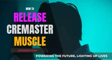 Unlocking the Cremaster Muscle: Techniques for Release