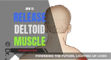 Unlocking Deltoid Muscle: Techniques for Release and Relaxation