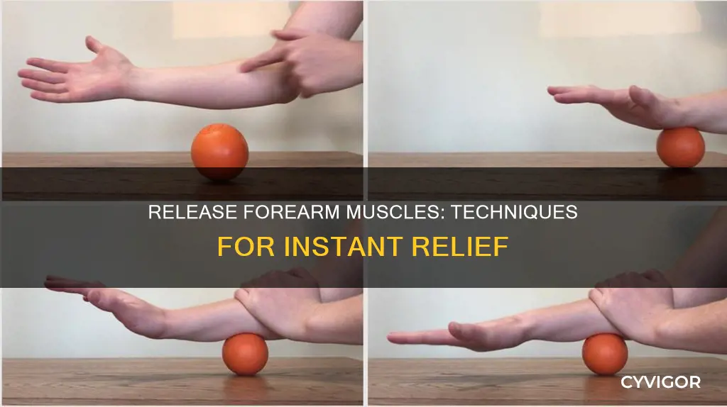 how to release forearm muscles