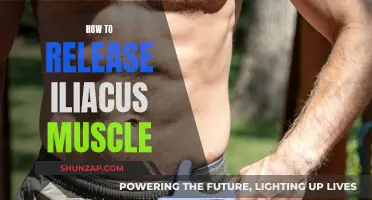 Unlocking the Iliacus Muscle: Techniques for Release and Relaxation
