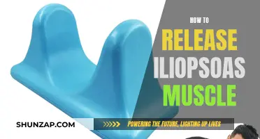 Unlocking the Iliopsoas Muscle: Techniques for Release and Relaxation