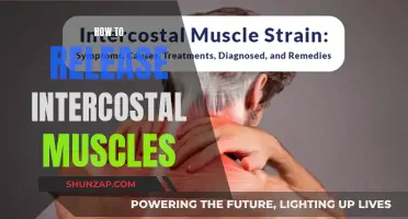 Unlocking Intercostal Muscles: Techniques for Release and Relaxation