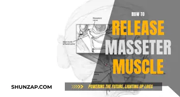 Unlocking Relaxed Jaws: Releasing the Masseter Muscle