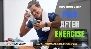 Effective Post-Workout Recovery Tips to Relieve Muscle Pain and Soreness