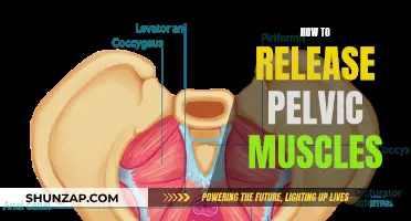 Unlocking Pelvic Floor Muscles: Techniques for Release and Relaxation