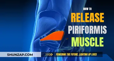 Release Your Piriformis Muscle: Simple and Effective Techniques