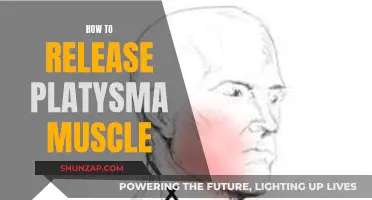 Unlocking the Platysma Muscle: Techniques for Release and Relaxation