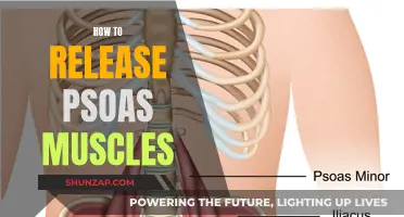 Unlocking Psoas Muscle Release: Techniques for Tension Relief