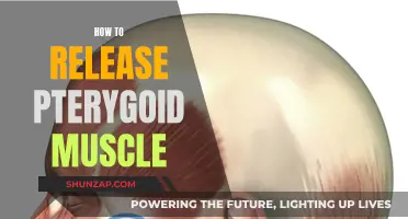 Unlocking the Pterygoid Muscle: Techniques for Release and Relaxation