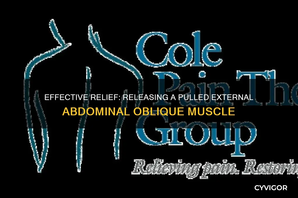 how to release pulled muscle external abdominal oblique