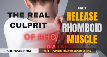 Unlocking Rhomboid Muscle Relief: Techniques for Release