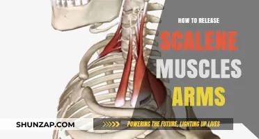 Effective Techniques to Release Tight Scalene Muscles in Your Arms