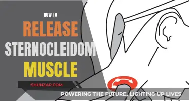 Unlocking the Sternocleidomastoid: Techniques for Tension Release