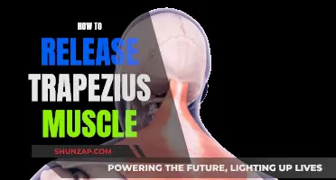 Unlocking Trapezius Muscle Relaxation Techniques for Stress Relief