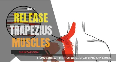 Relieving Trapezius Muscle Tension: Simple and Effective Techniques