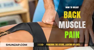 Effective Ways to Relieve Back Muscle Pain and Improve Comfort