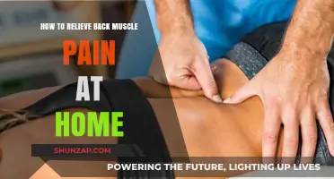 Effective Home Remedies to Ease Back Muscle Pain Quickly