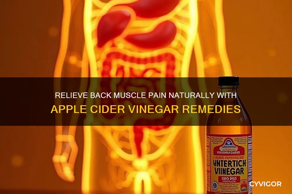 how to relieve back muscle pain with apple cider vinegar