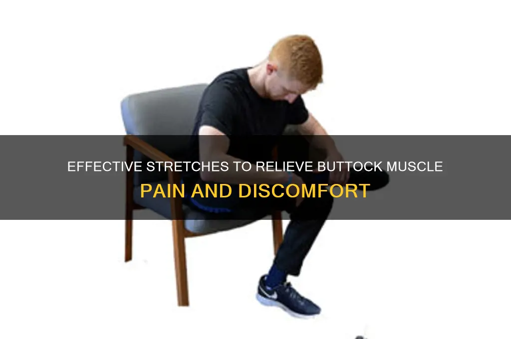 how to relieve buttock muscle pain stretches