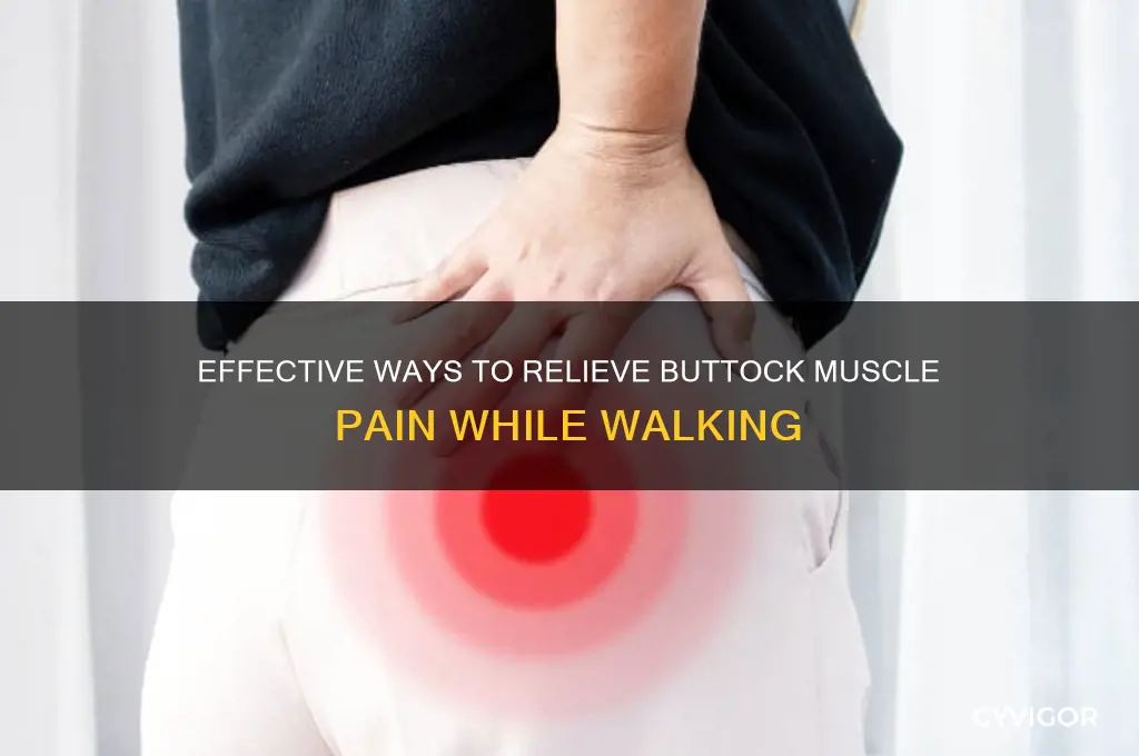 How to Relieve Buttock Muscle Pain and Its Common Causes How to Relieve Buttock Muscle Pain and Its Common Causes