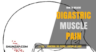 Effective Techniques to Relieve Digastric Muscle Pain and Discomfort